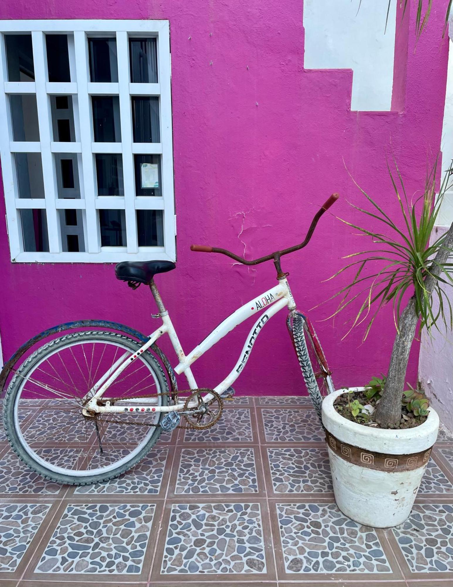 Pachamama Holbox - Hostel & Private Apartments Exterior foto