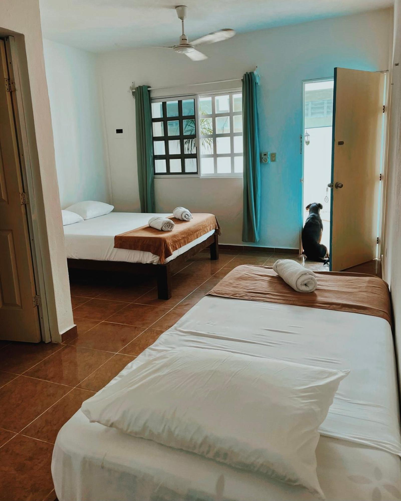 Pachamama Holbox - Hostel & Private Apartments Exterior foto